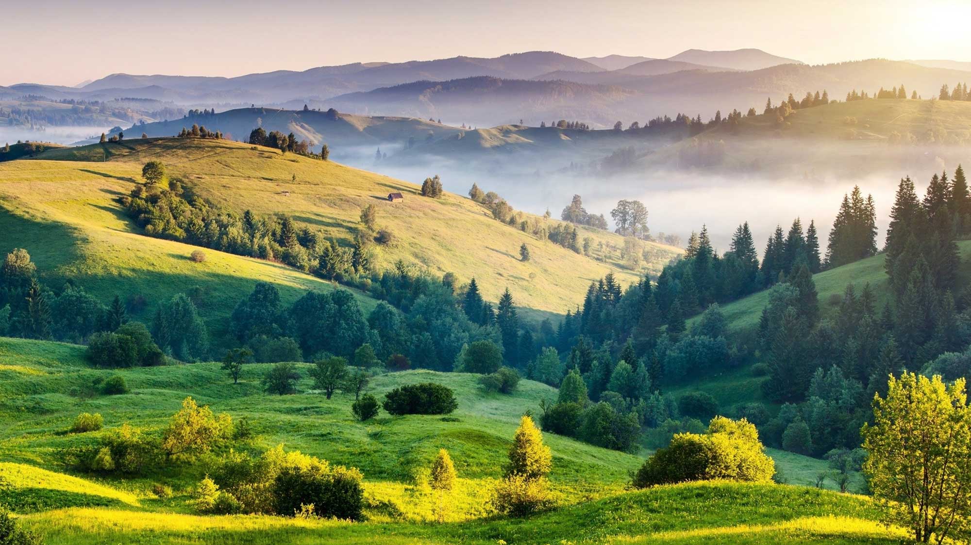 Paesaggio verde, simbolo delle comunità energetiche rinnovabili