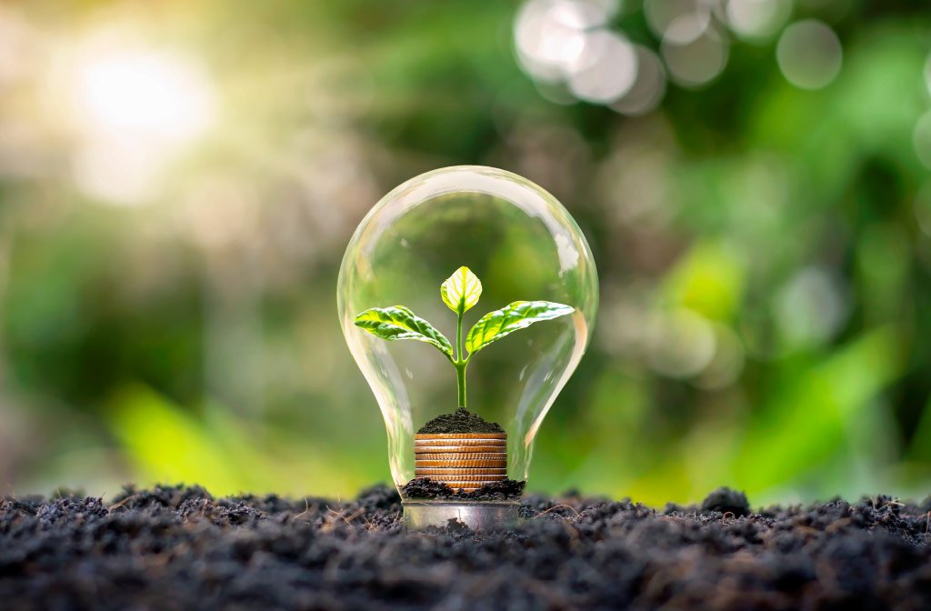 Lampadina con una piantina, simbolo di energia verde e comunità energetiche