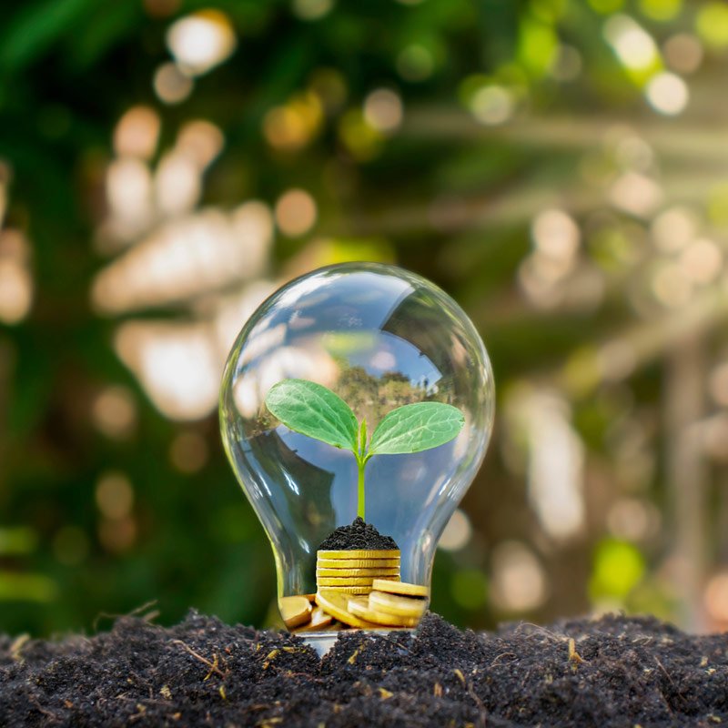 Lampadina con una piantina, offerte energia sostenibili per il condominio